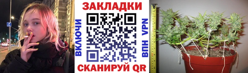 Виды наркотиков купить Подпорожье Cocaine  СОЛЬ  ГАШ  kraken онион  Меф 