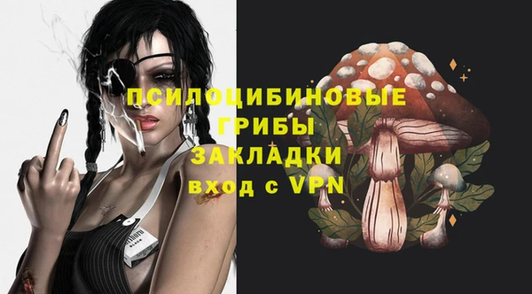 МДПВ Алзамай
